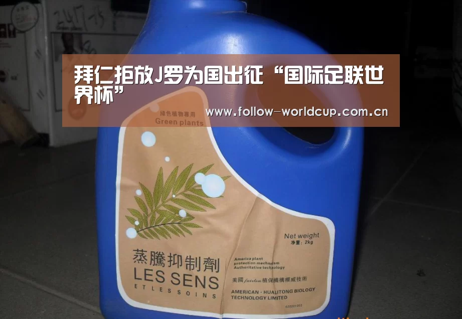 美加墨世界杯