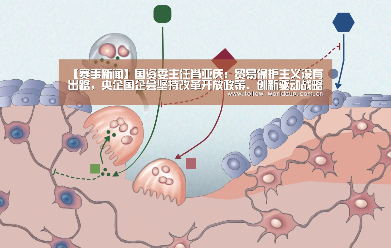 实时比分
