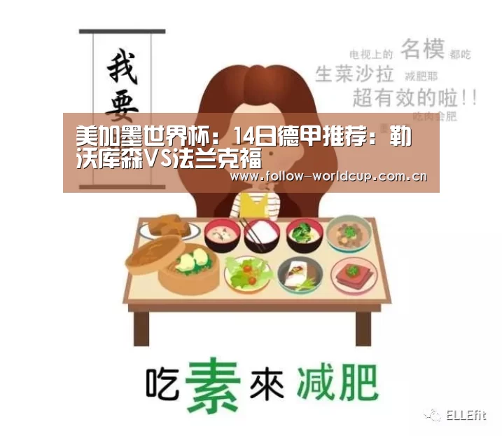 美加墨世界杯:14日德甲推荐:勒沃库森VS法兰克福(图2) 赛事新闻