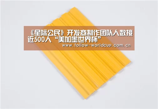 国际足联世界杯