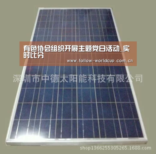 有色协会组织开展主题党日活动_实时比分(图2) 赛事新闻