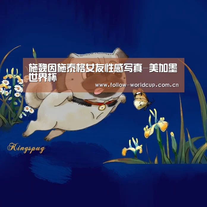 美加墨世界杯
