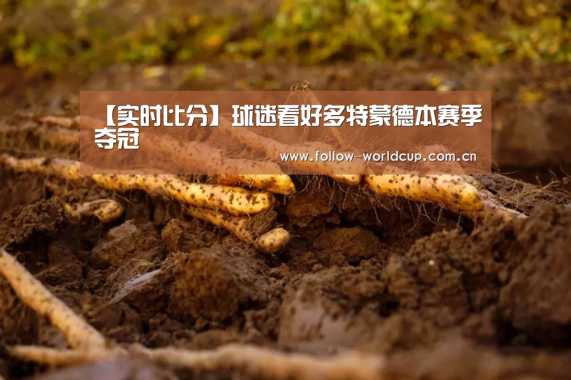 【实时比分】球迷看好多特蒙德本赛季夺冠(图1) 赛事新闻
