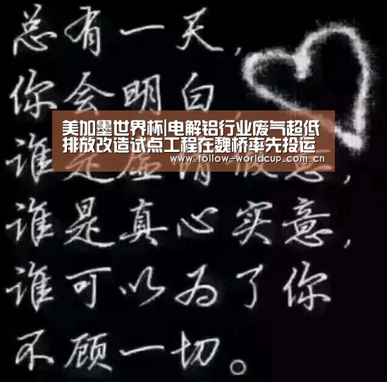 美加墨世界杯|电解铝行业废气超低排放改造试点工程在魏桥率先投运(图1) 美加墨世界杯