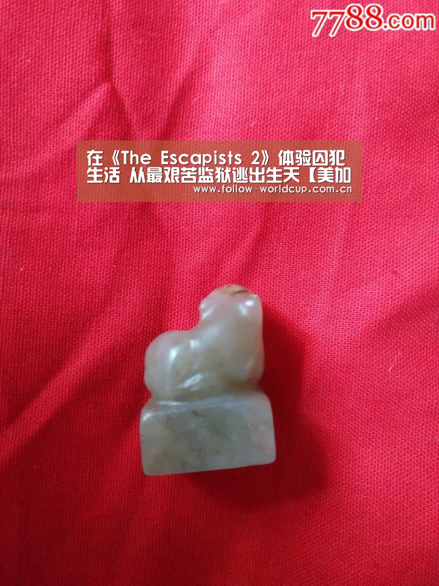 实时比分