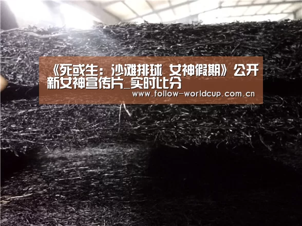 国际足联世界杯
