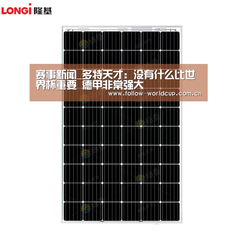 赛事新闻_多特天才:没有什么比世界杯重要 德甲非常强大(图2) 国际足联世界杯