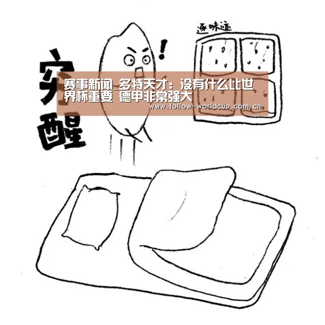 赛事新闻_多特天才:没有什么比世界杯重要 德甲非常强大(图4) 国际足联世界杯