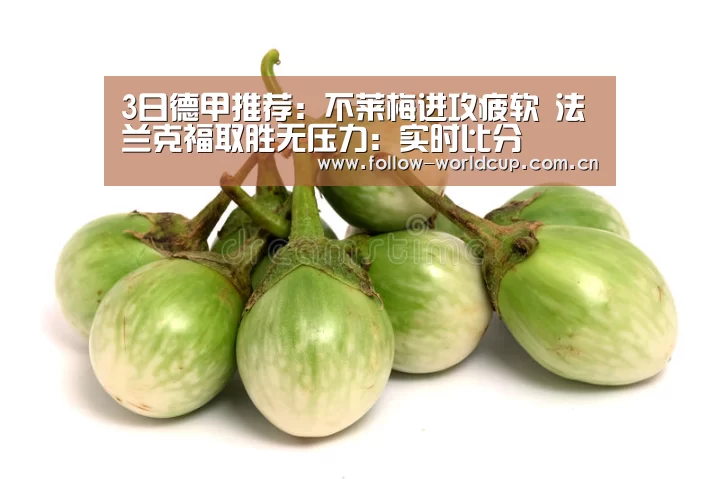 赛事新闻