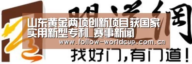 山东黄金两项创新项目获国家实用新型专利_赛事新闻(图2) 美加墨世界杯