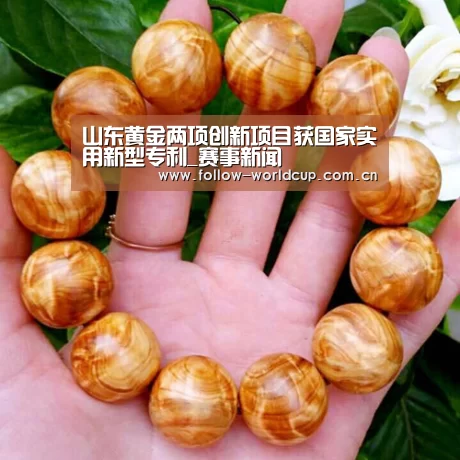 山东黄金两项创新项目获国家实用新型专利_赛事新闻(图1) 国际足联世界杯