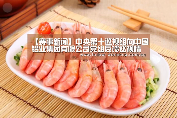 【赛事新闻】中央第十巡视组向中国铝业集团有限公司党组反馈巡视情况(图1) 实时比分