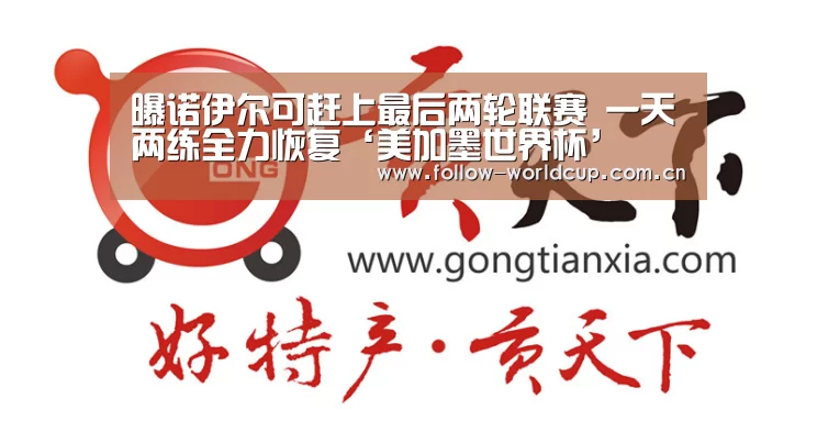 实时比分