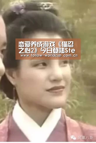 国际足联世界杯